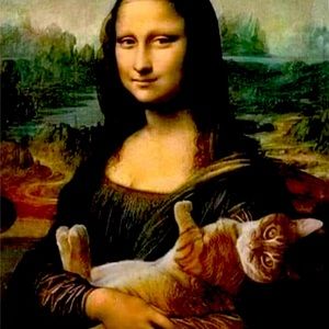 Meet your Posher, Silvia